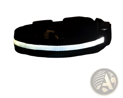 Led Dog Collar Night Safety Glowing Nylon Pet Leash