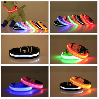 Led Dog Collar Rechargeable Luminous Night Safety Light