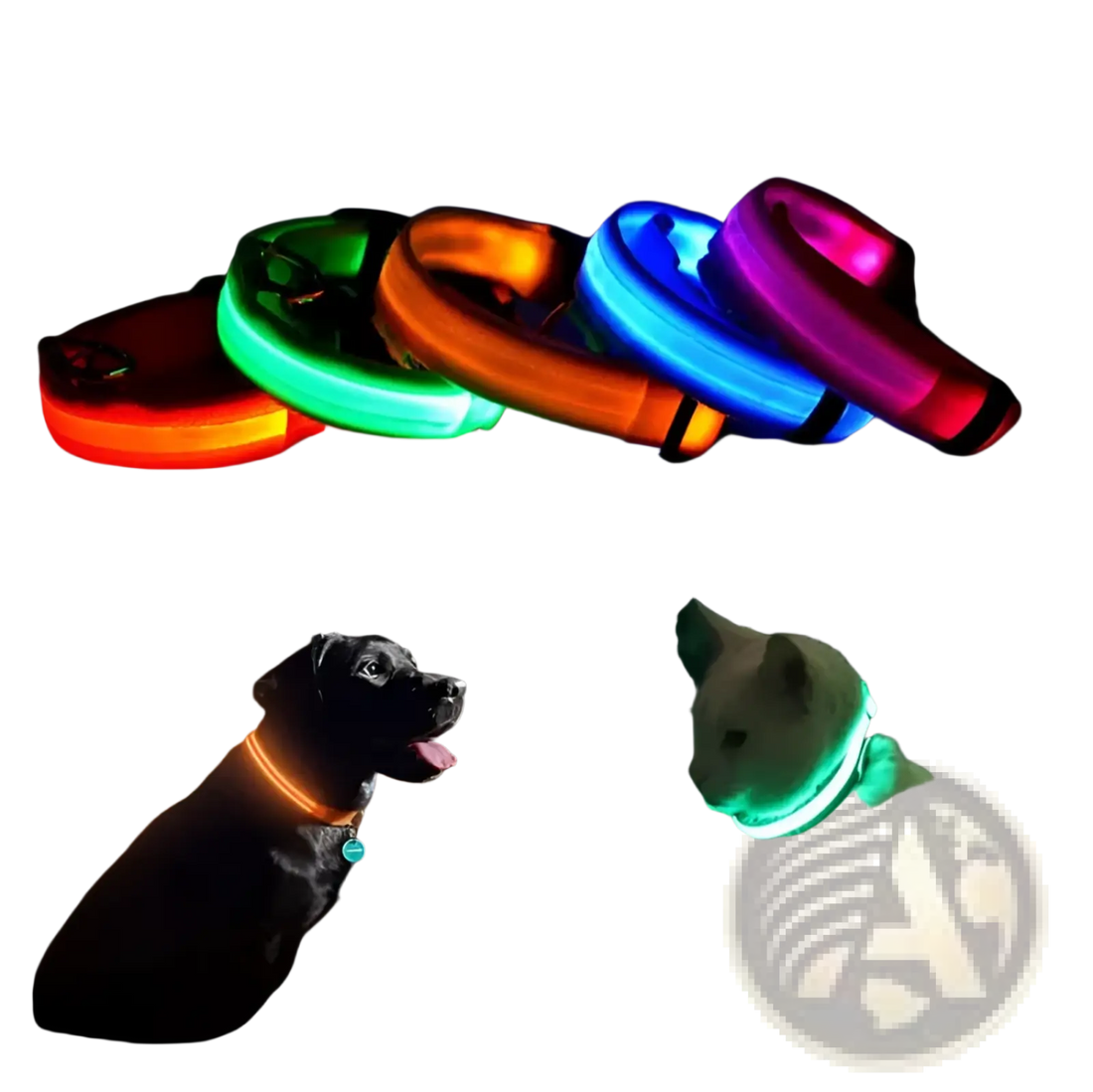Led Dog Collar Reflective Light Up Safety Halo Belt