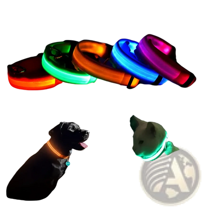 Led Dog Collar Reflective Light Up Safety Halo Belt