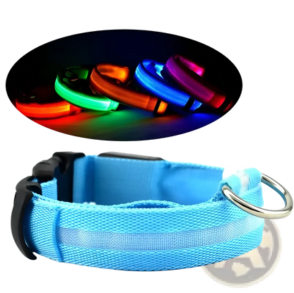 Led Dog Collar Reflective Light Up Safety Halo Belt