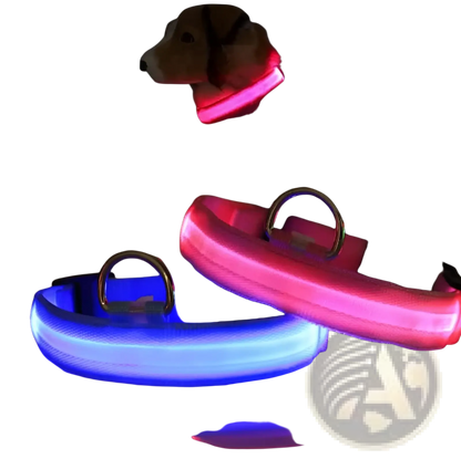 Led Dog Collar Reflective Light Up Safety Halo Belt