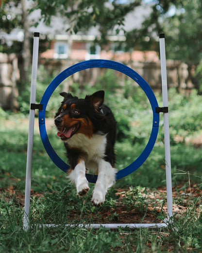 Better Sporting Dogs Upgraded Dog Agility Set – 5 Piece Training Kit with Safety Breakaway Tire Jump, Displacement Bar Jump, Tunnel, Weave Poles &amp; Pause Box