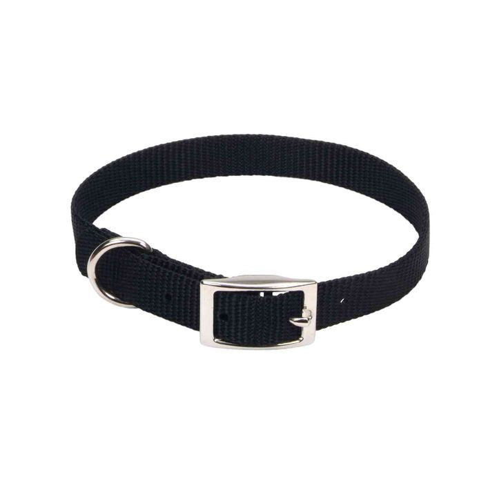 Dog - Coastal Pet Single Nylon Dog Collar