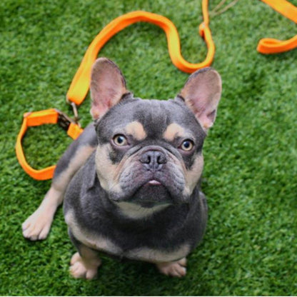Tilley + Me Hemp Cotton Dog Leash - Durable, Sustainable, Adjustable, Lightweight &amp; Soft-Malibu