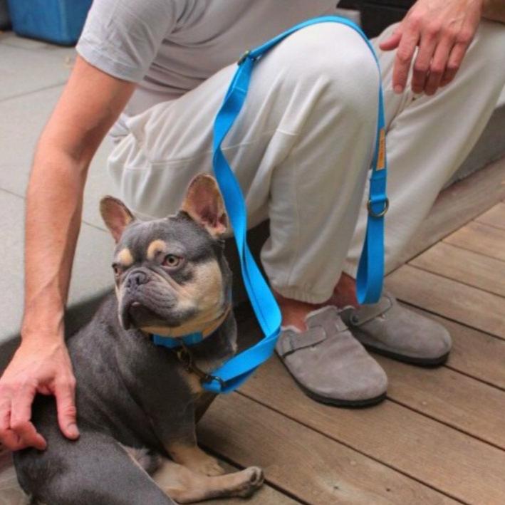 Tilley + Me Hemp Cotton Dog Leash - Durable, Sustainable, Adjustable, Lightweight &amp; Soft-Malibu