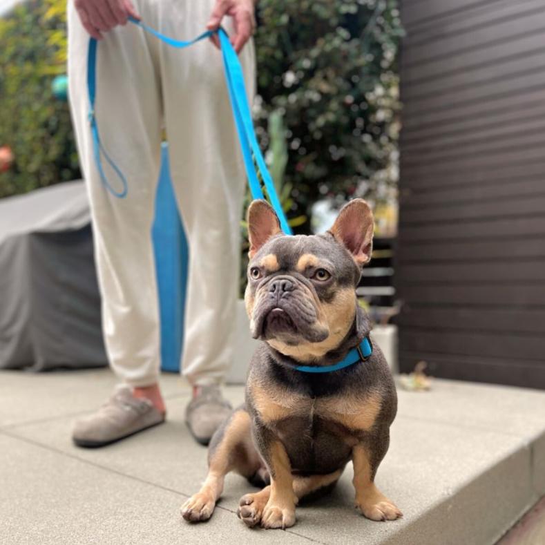 Tilley + Me Hemp Cotton Dog Leash - Durable, Sustainable, Adjustable, Lightweight &amp; Soft-Malibu