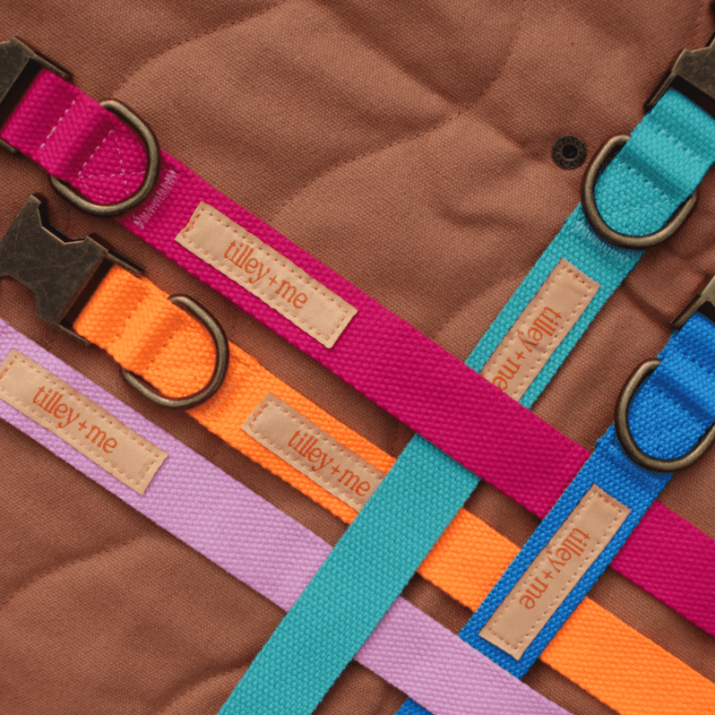 Tilley + Me Hemp Cotton Dog Leash - Durable, Sustainable, Adjustable, Lightweight &amp; Soft-Malibu