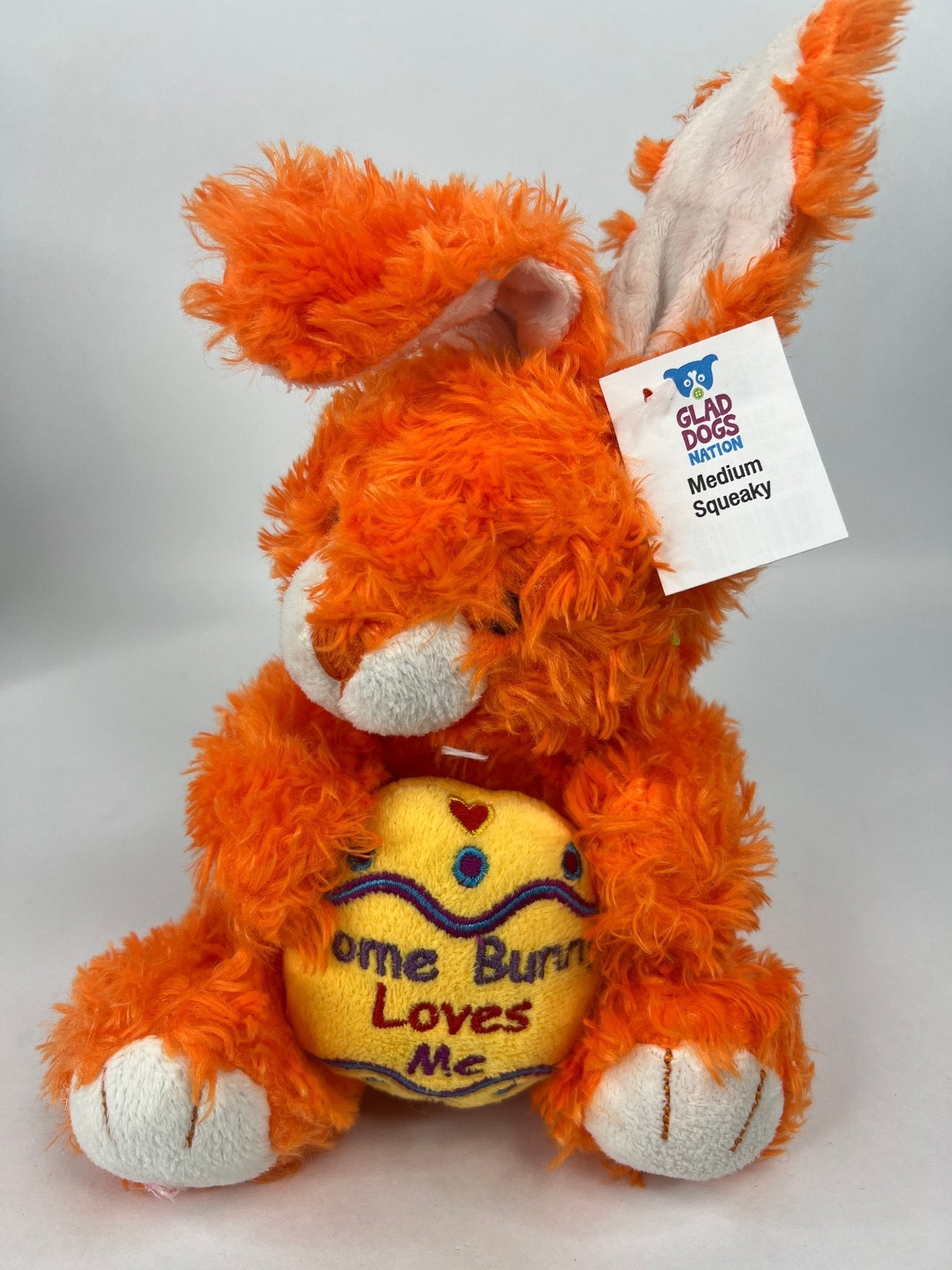 30% OFF! MEDIUM Easter &amp; Spring Plush Squeaky Toy for Dogs
