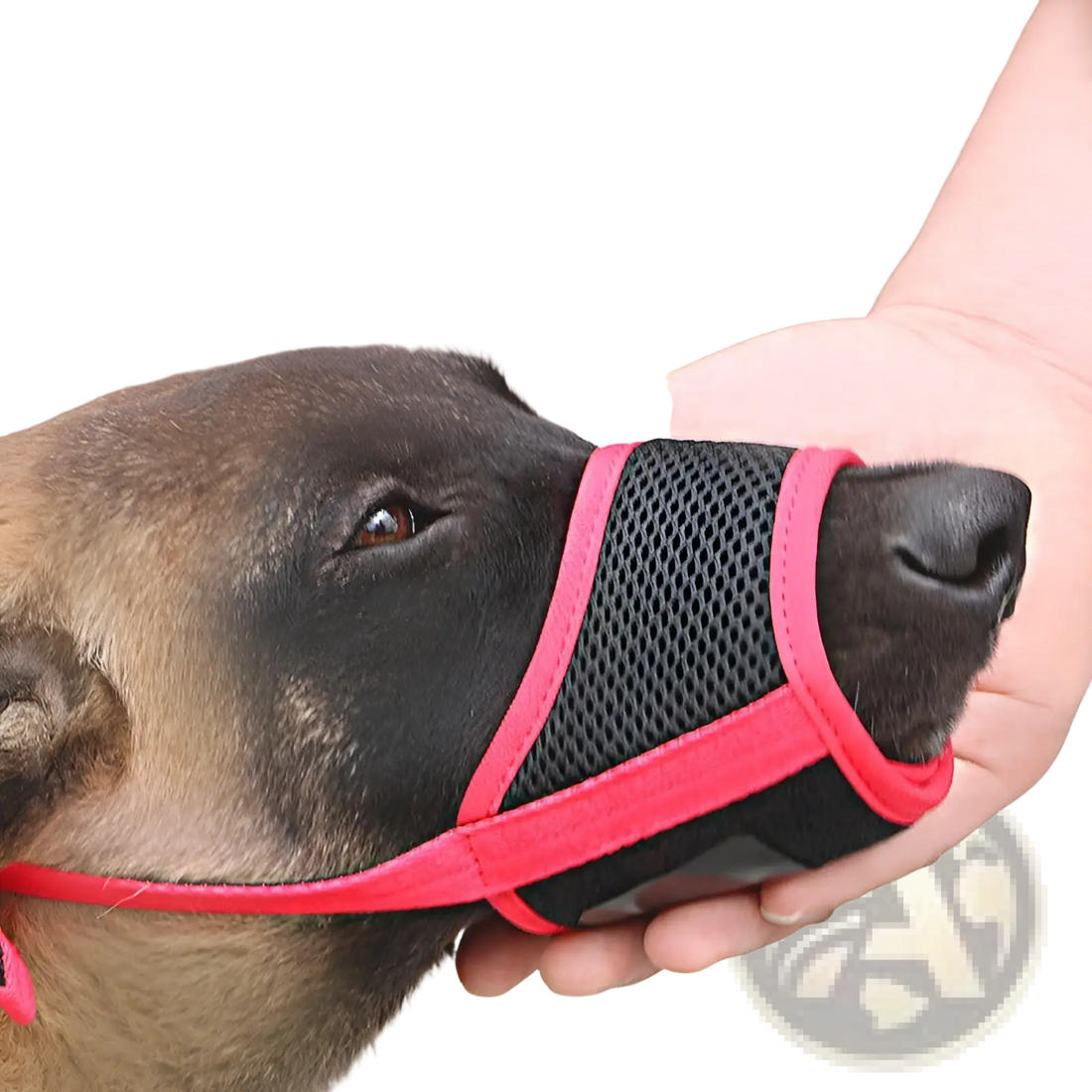Mesh Dog Muzzle with Adjustable Strap for Large Dogs