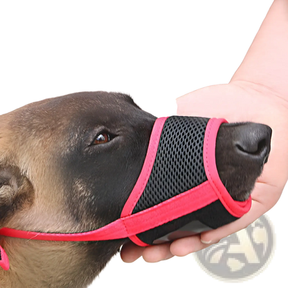 Mesh Dog Muzzle with Adjustable Strap for Large Dogs