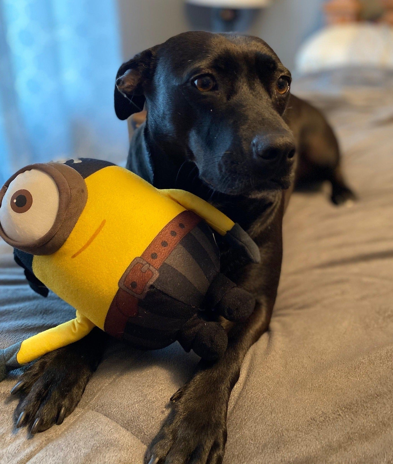 Minions &amp; Friends: All Sizes