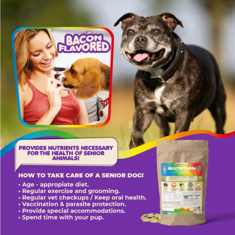 Multivitamin for Dogs &amp; Cats. Prenatal Vitamins. 90 Tabs