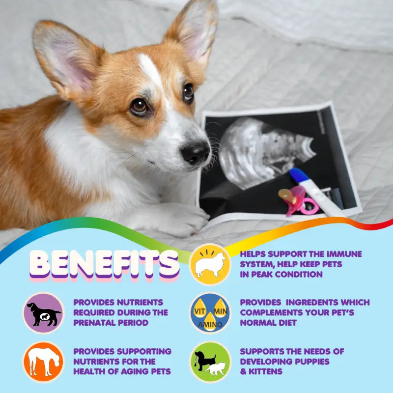 Multivitamin for Dogs &amp; Cats. Prenatal Vitamins. 90 Tabs
