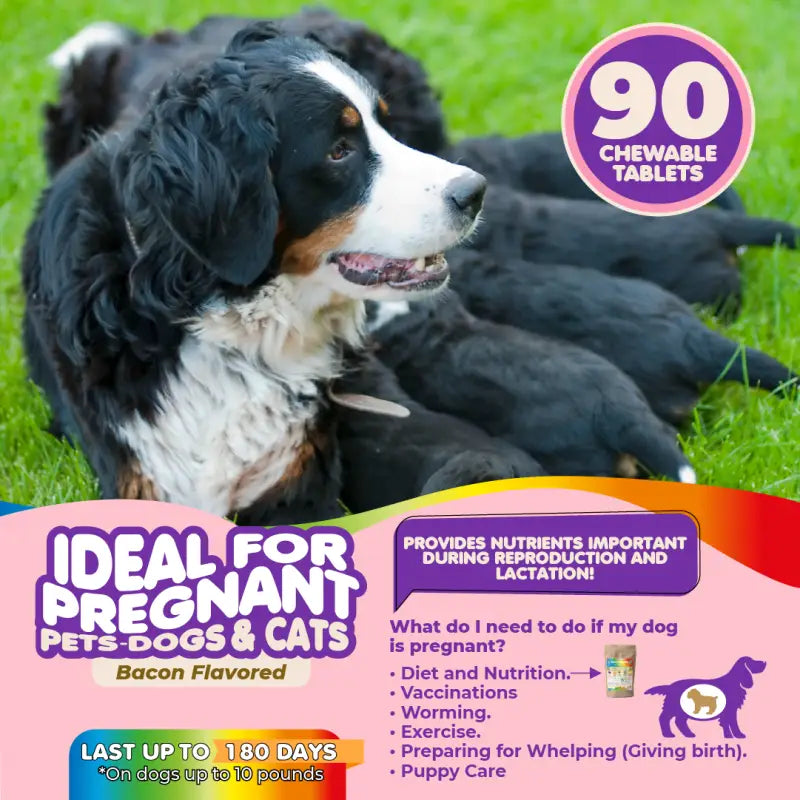 Multivitamin for Dogs &amp; Cats. Prenatal Vitamins. 90 Tabs