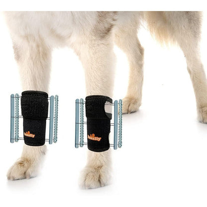 NeoAlly 3-in-1 Front Leg Dog Splint Brace: Rigid &amp; Spring Inserts, Safety Reflective Straps (Pair)