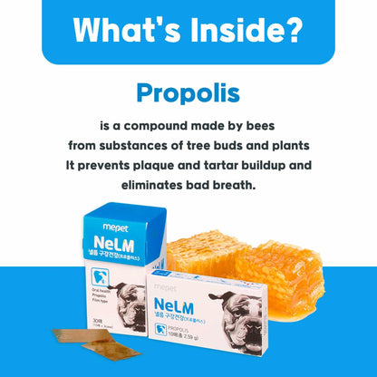 BestBy01/26 NeLM Dog Vitamins Multivitamin Eye Hip Joint Gut Dental 30 Strips