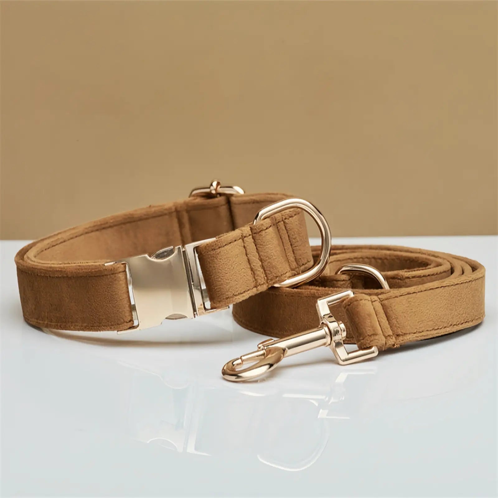 Personalized Velvet Dog Collar and Leash Set with Bow