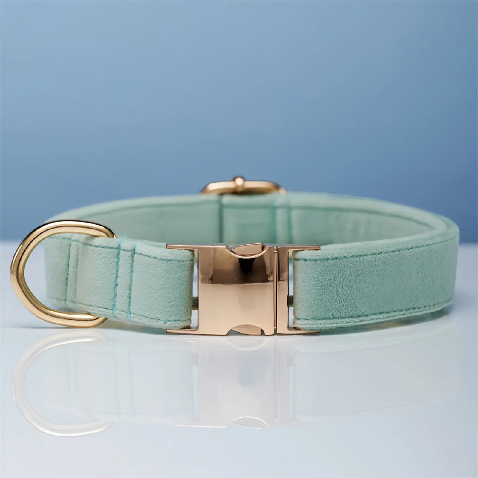 Personalized Velvet Dog Collar and Leash Set with Bow