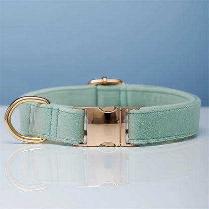 Personalized Velvet Dog Collar and Leash Set with Bow