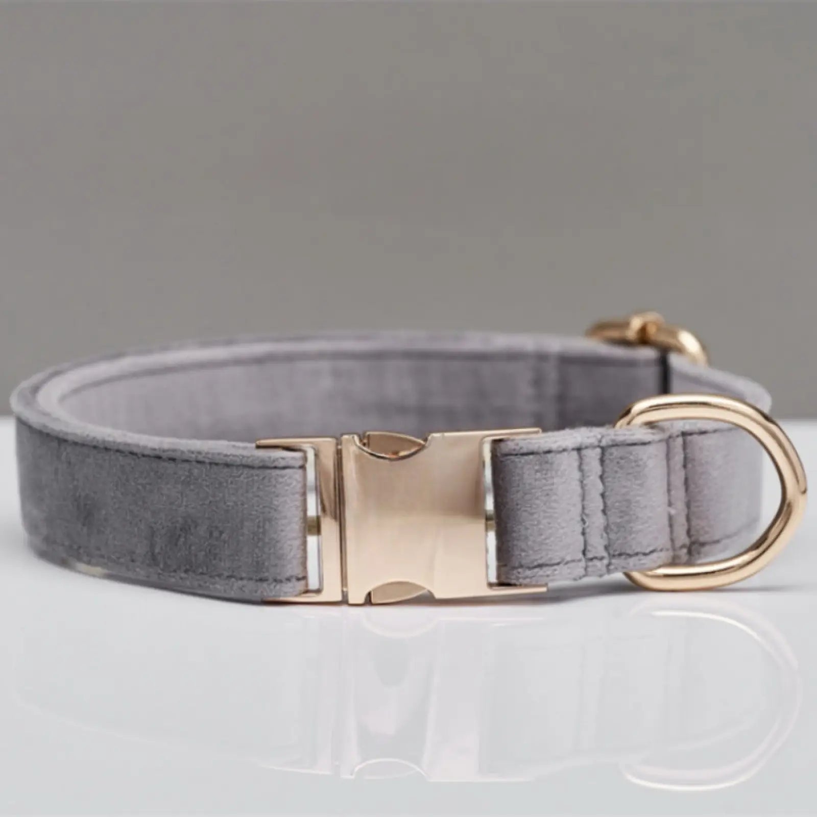 Personalized Velvet Dog Collar and Leash Set with Bow