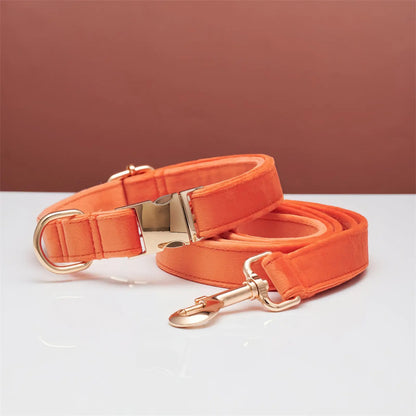 Personalized Velvet Dog Collar and Leash Set with Bow