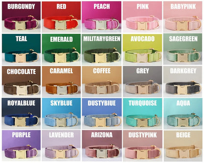 Personalized Velvet Dog Collar and Leash Set with Bow