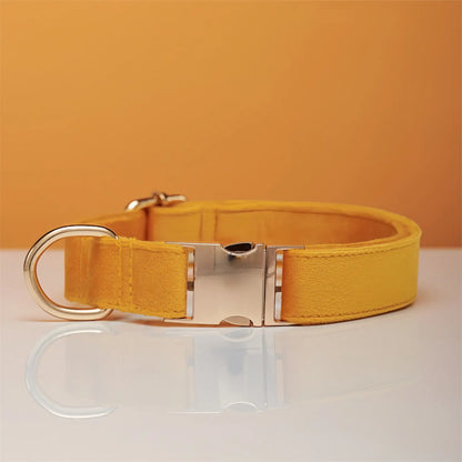 Personalized Velvet Dog Collar and Leash Set with Bow