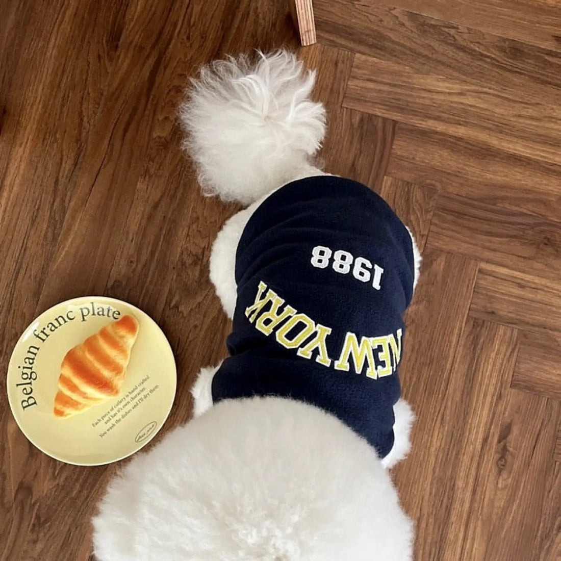 Pet Baseball Jacket Autumn Printed Dog Uniform