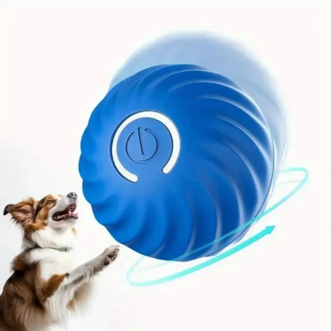 Pet Bouncing Ball for Cats and Dogs Blue and Orange