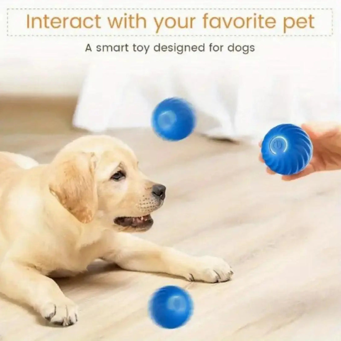 Pet Bouncing Ball for Cats and Dogs Blue and Orange