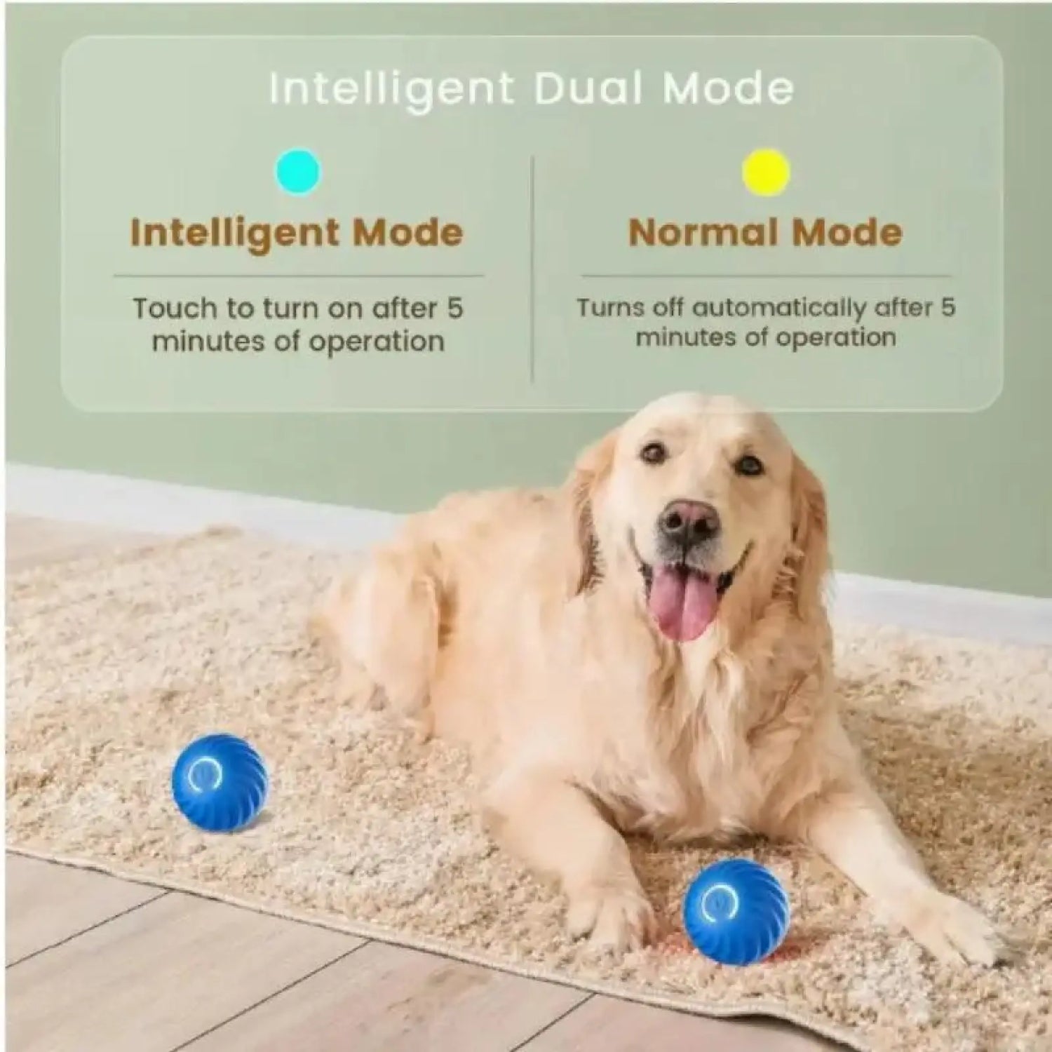 Pet Bouncing Ball for Cats and Dogs Blue and Orange