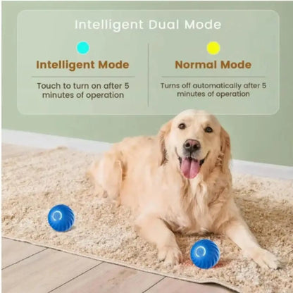 Pet Bouncing Ball for Cats and Dogs Blue and Orange