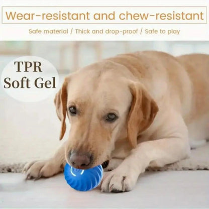 Pet Bouncing Ball for Cats and Dogs Blue and Orange