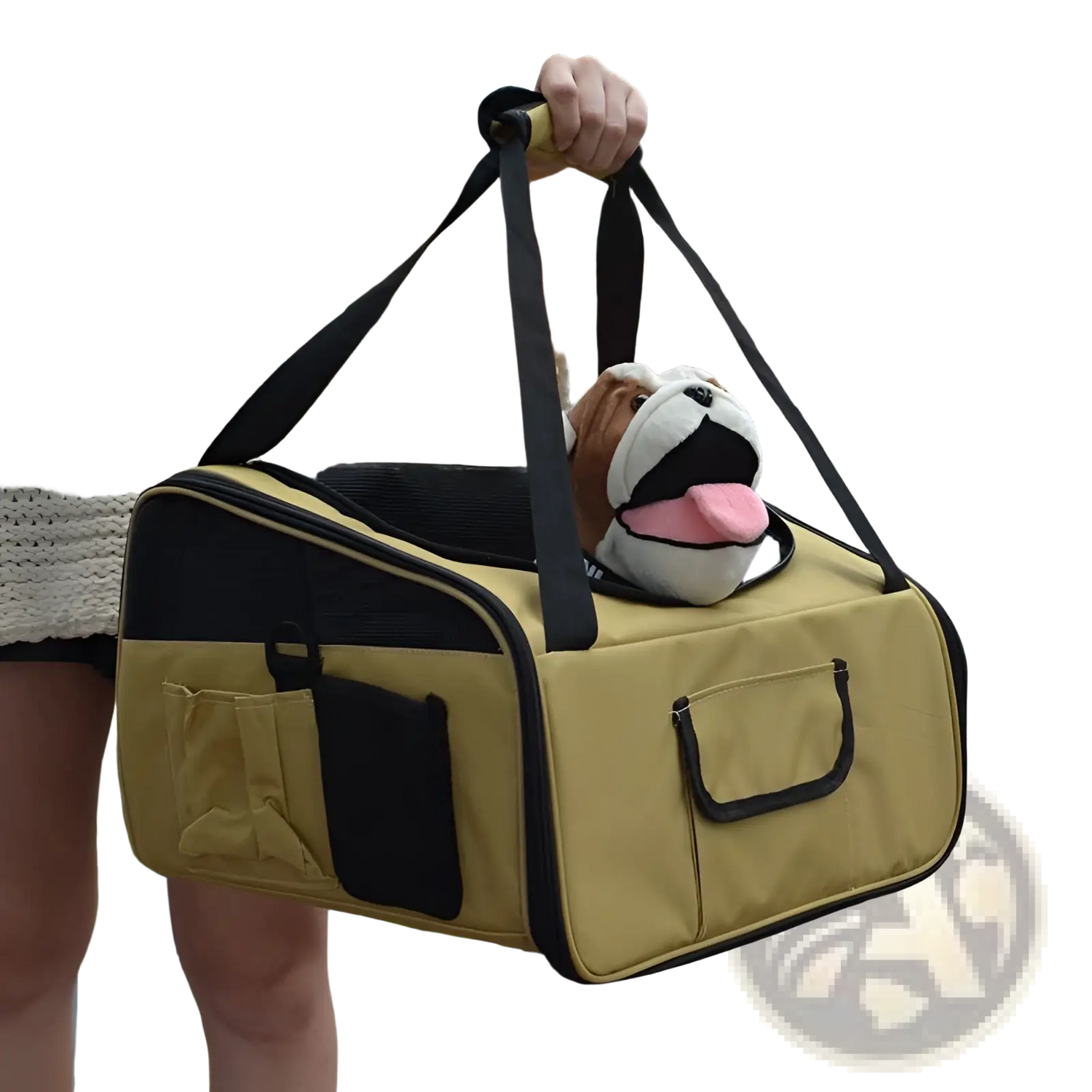 Pet Carrier Backpack for Small Dogs and Cats