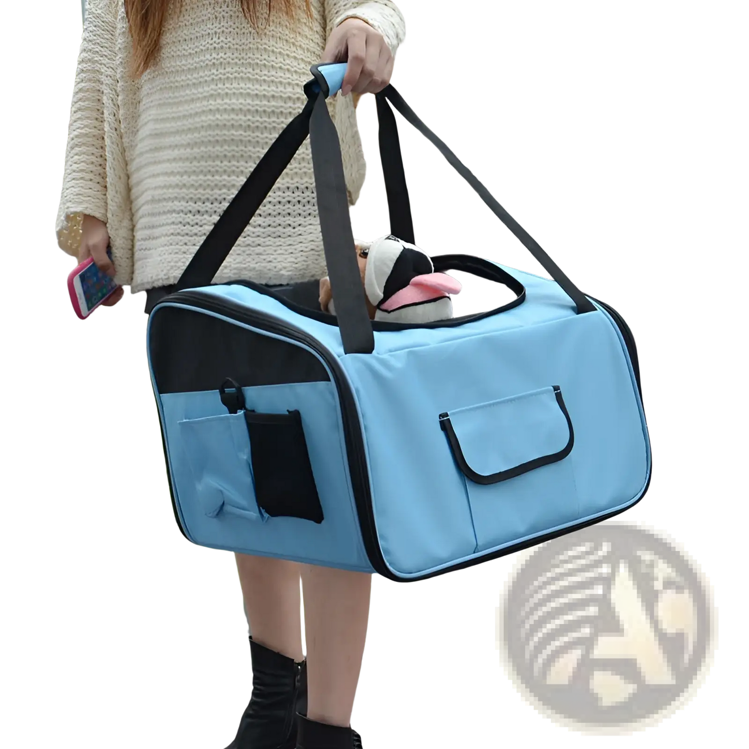 Pet Carrier Backpack for Small Dogs and Cats