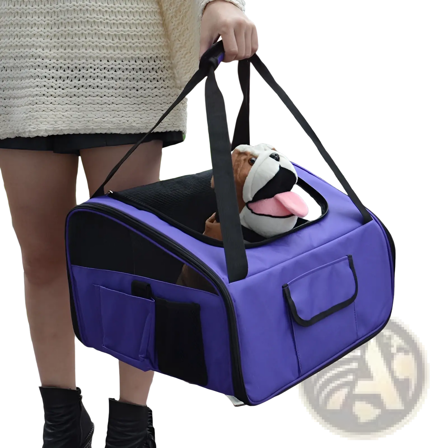 Pet Carrier Backpack for Small Dogs and Cats