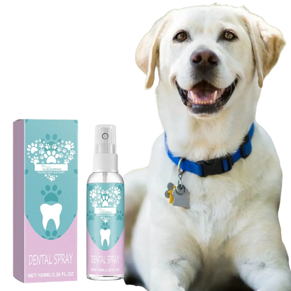 Pet Dental Spray Oral Care and Breath Freshener