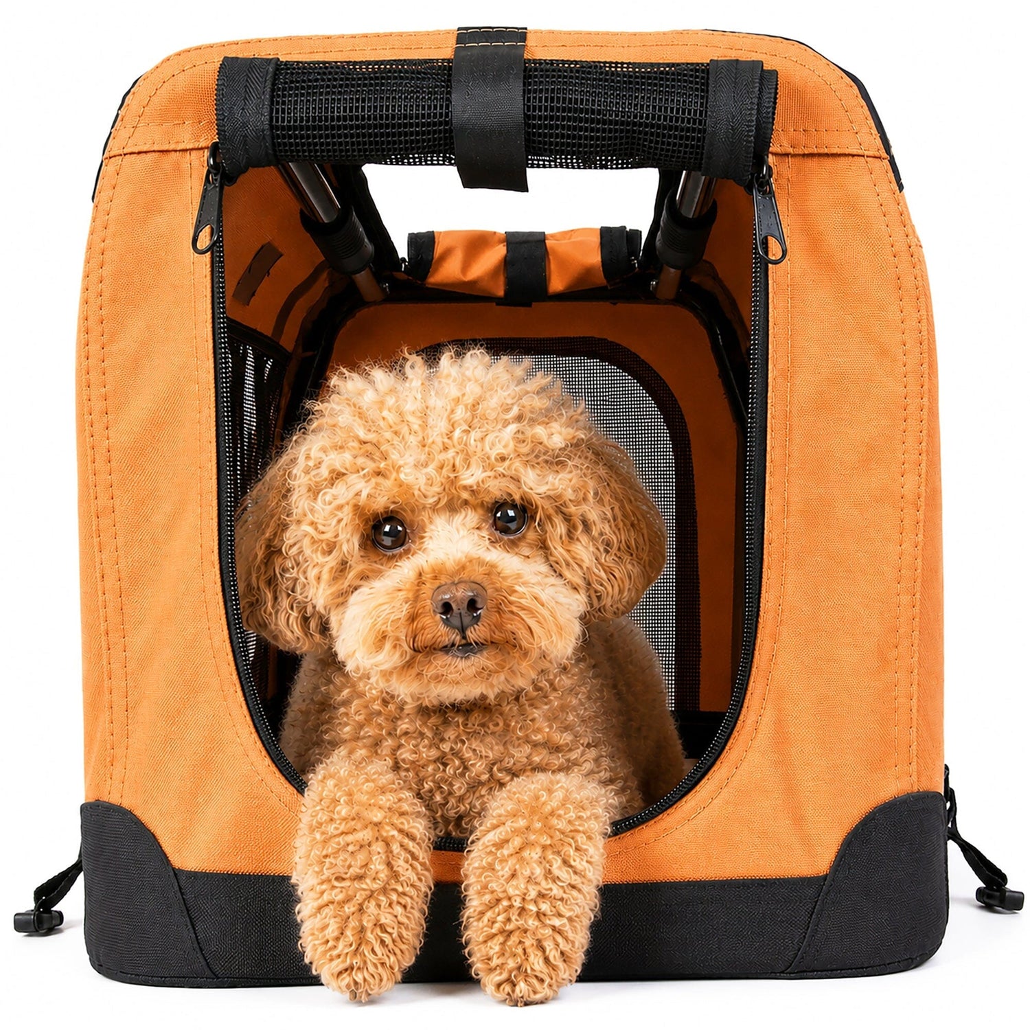 Pet Life ® &