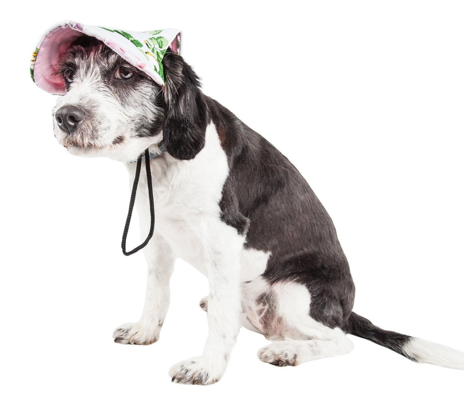 Pet Life ®  &