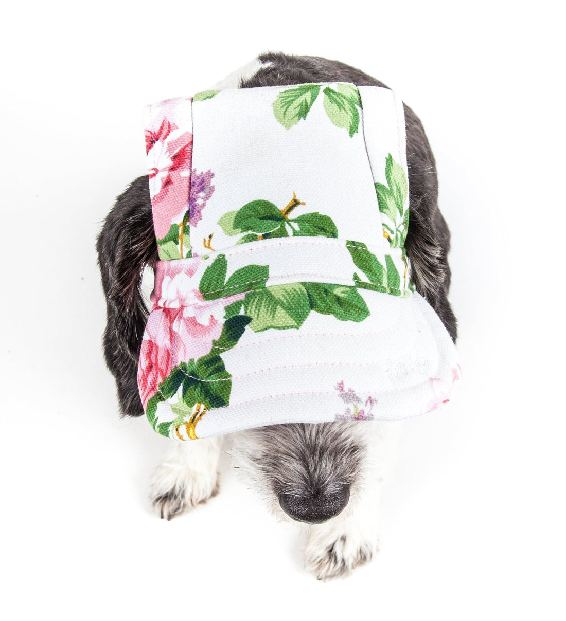 Pet Life ®  &