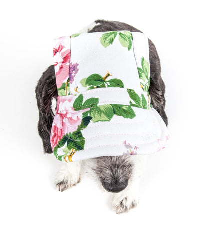 Pet Life ®  &