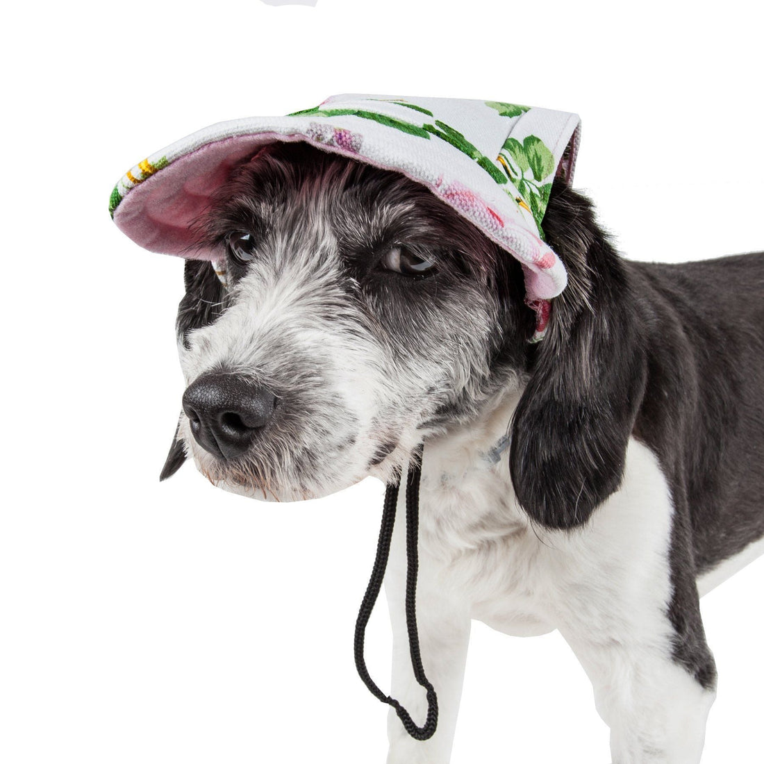 Pet Life ®  &