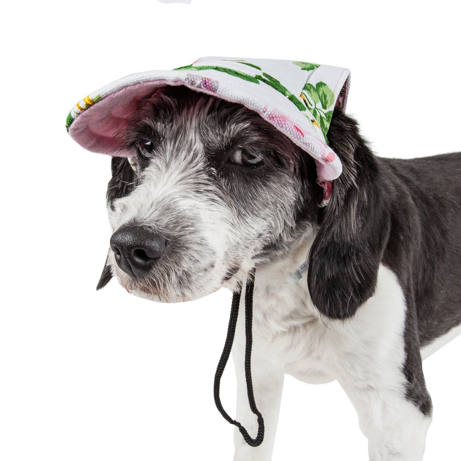Pet Life ®  &