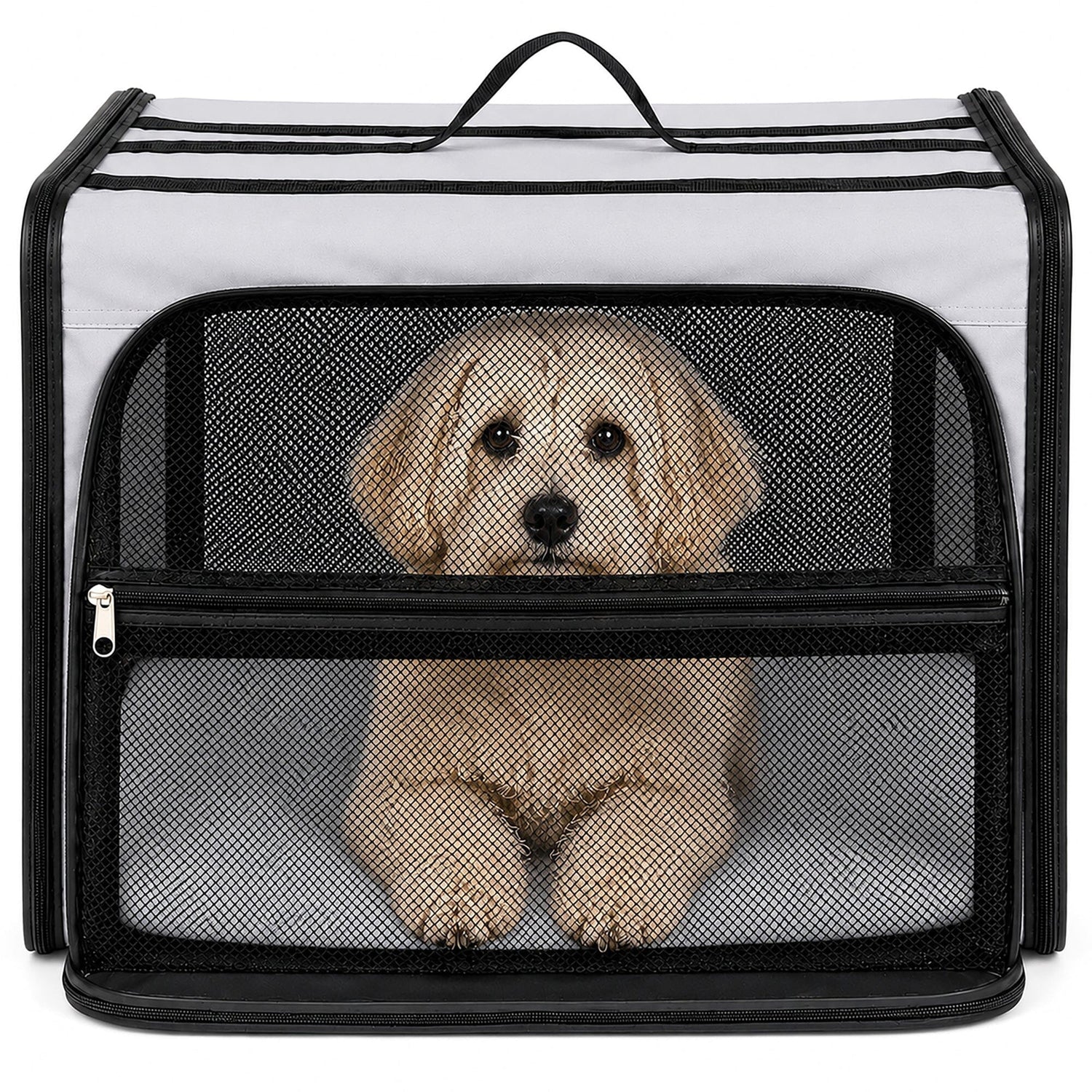 Pet Life ® &