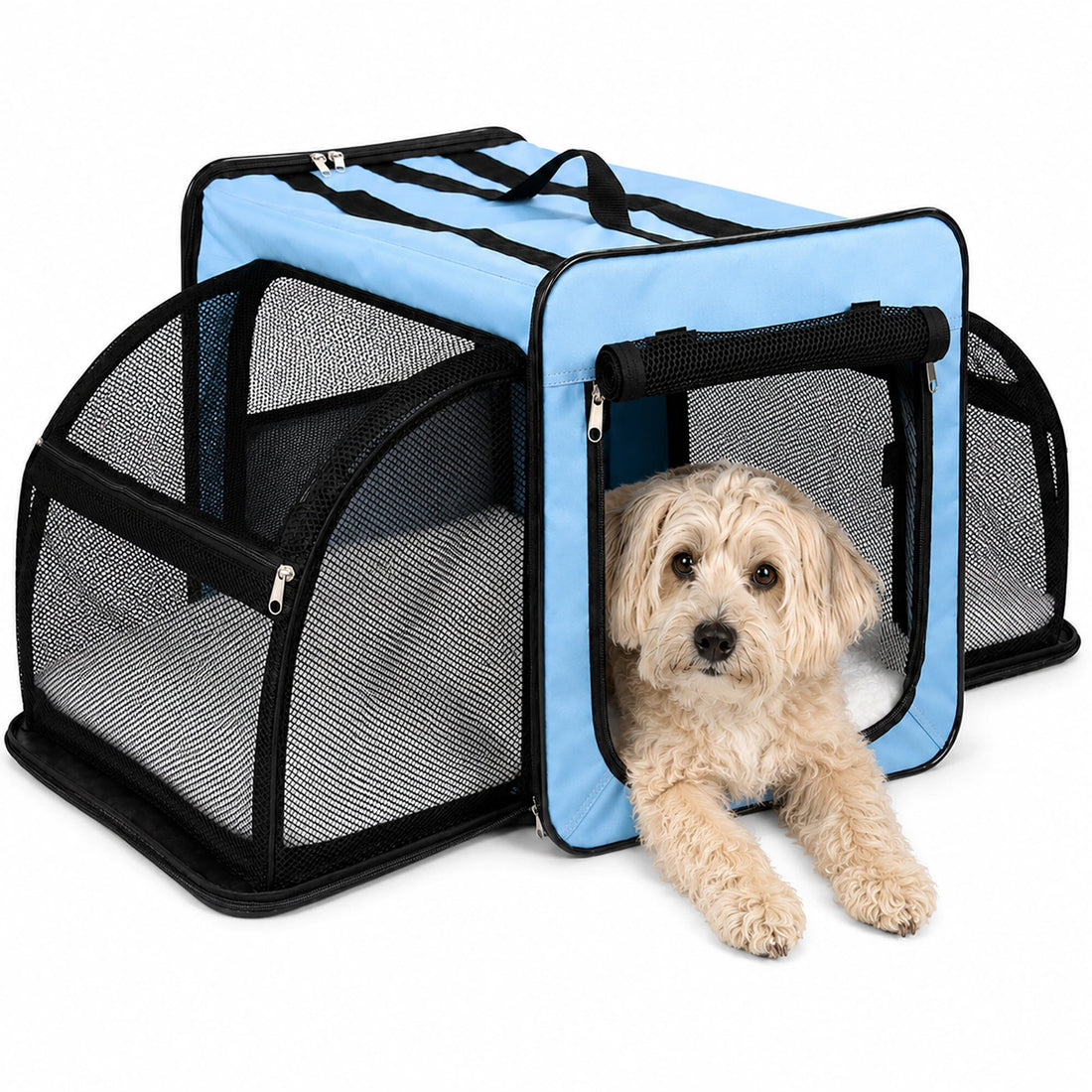 Pet Life ® &