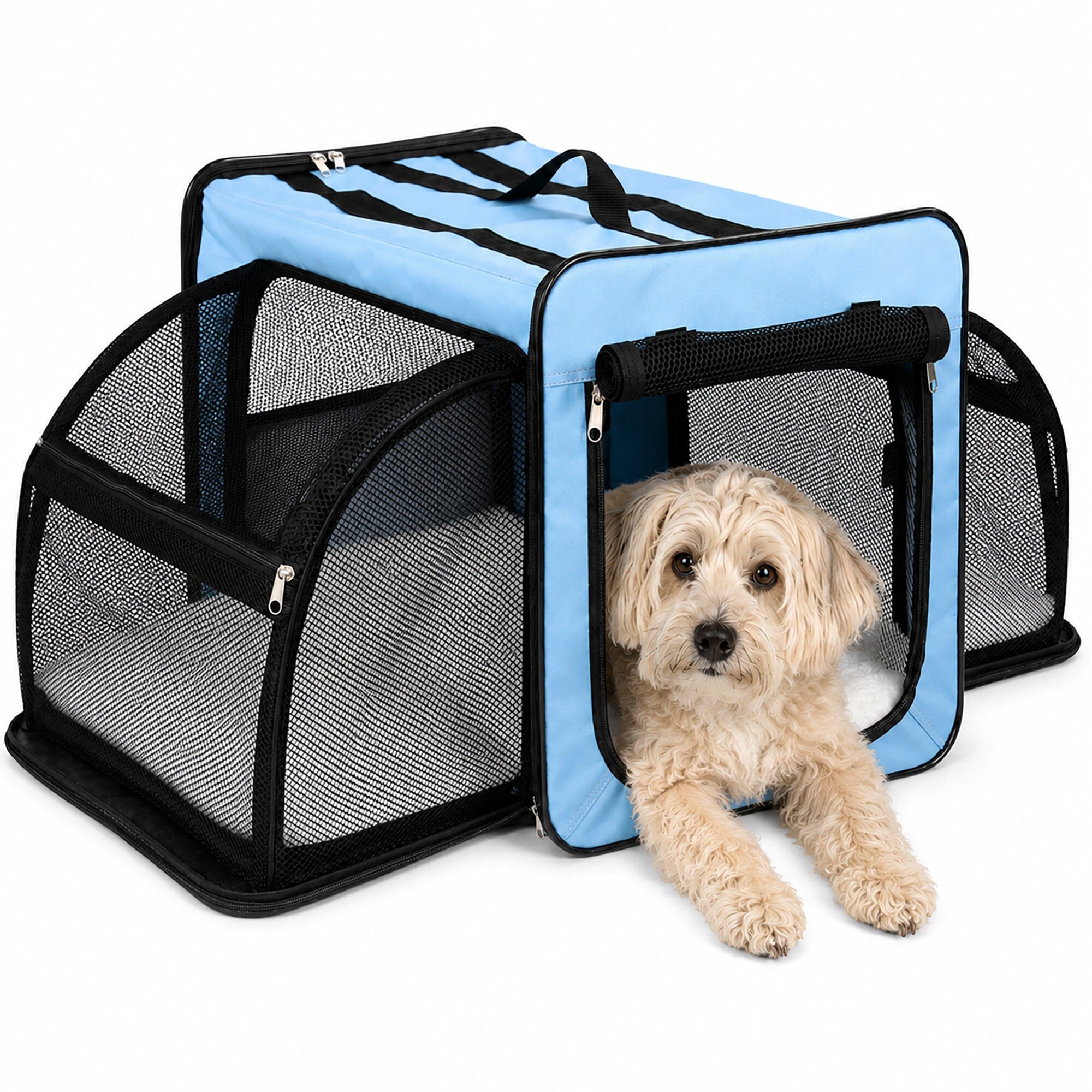 Pet Life ® &