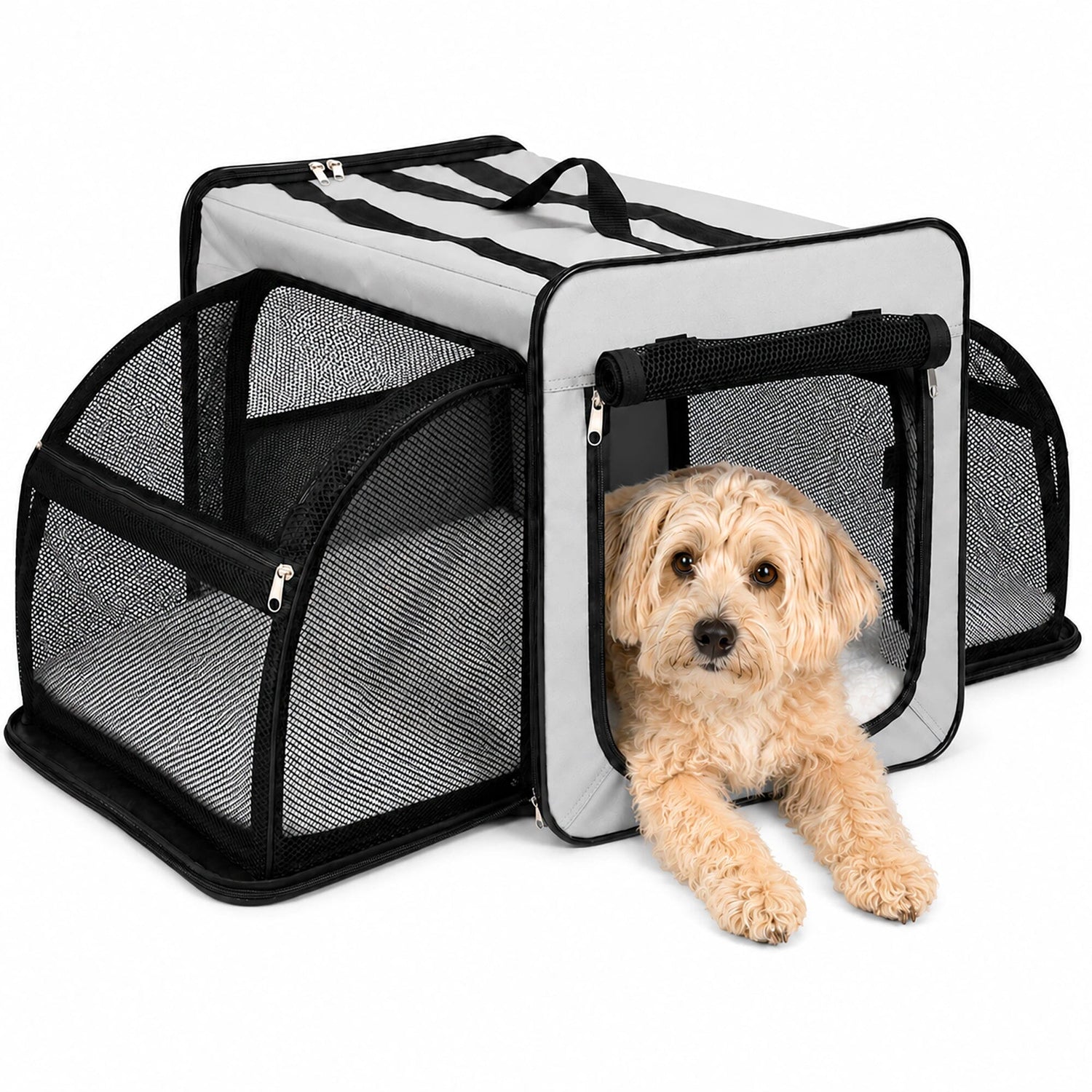 Pet Life ® &