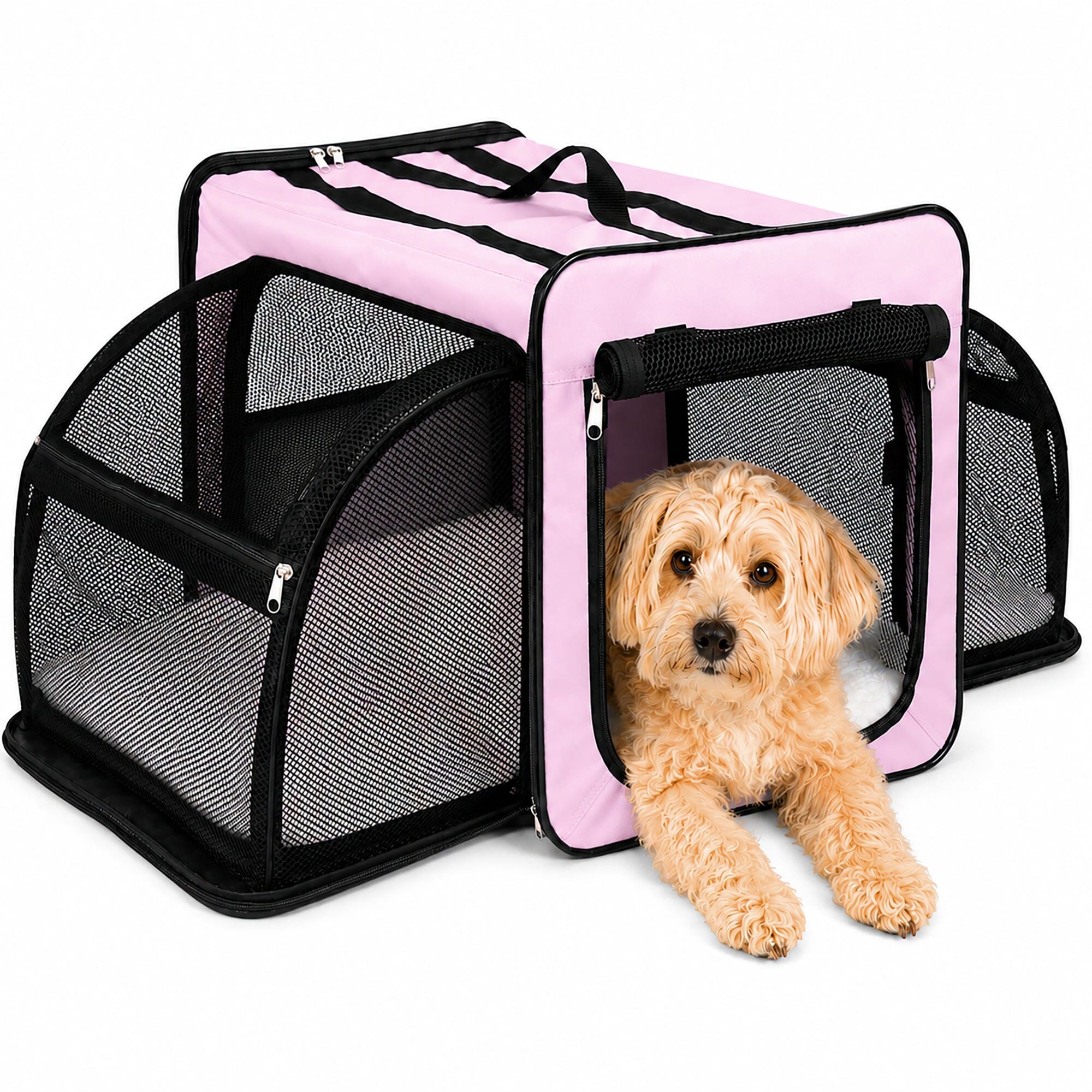 Pet Life ® &