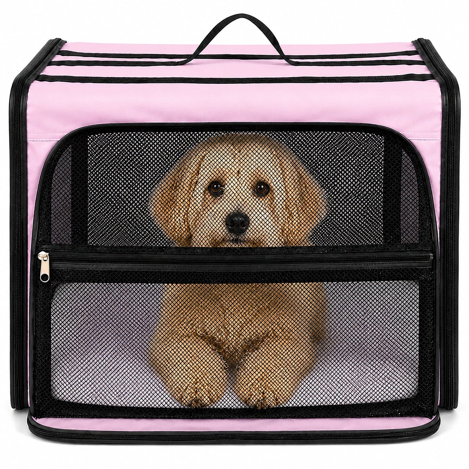 Pet Life ® &